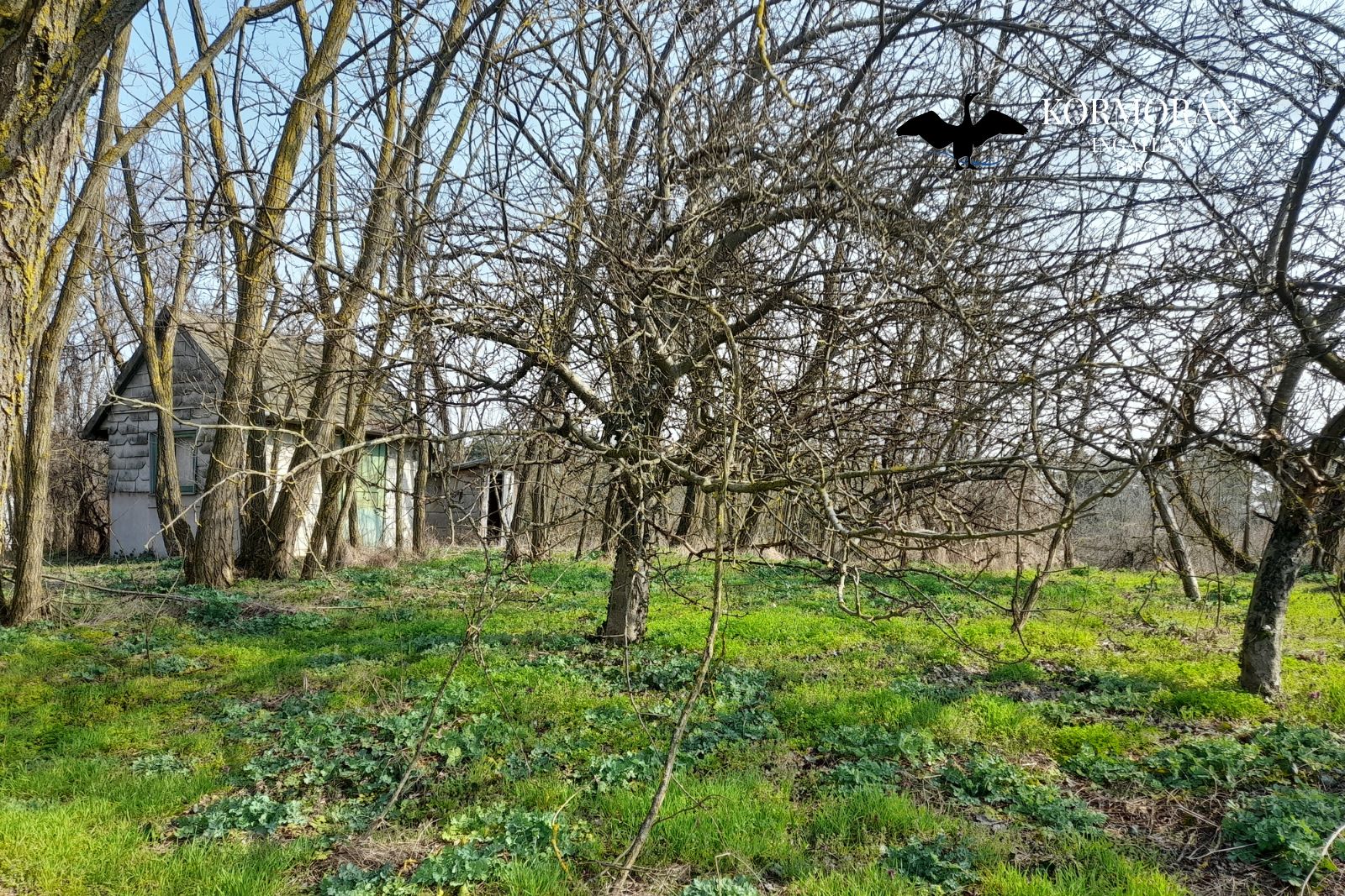 Barcs, Horvát-hegy
