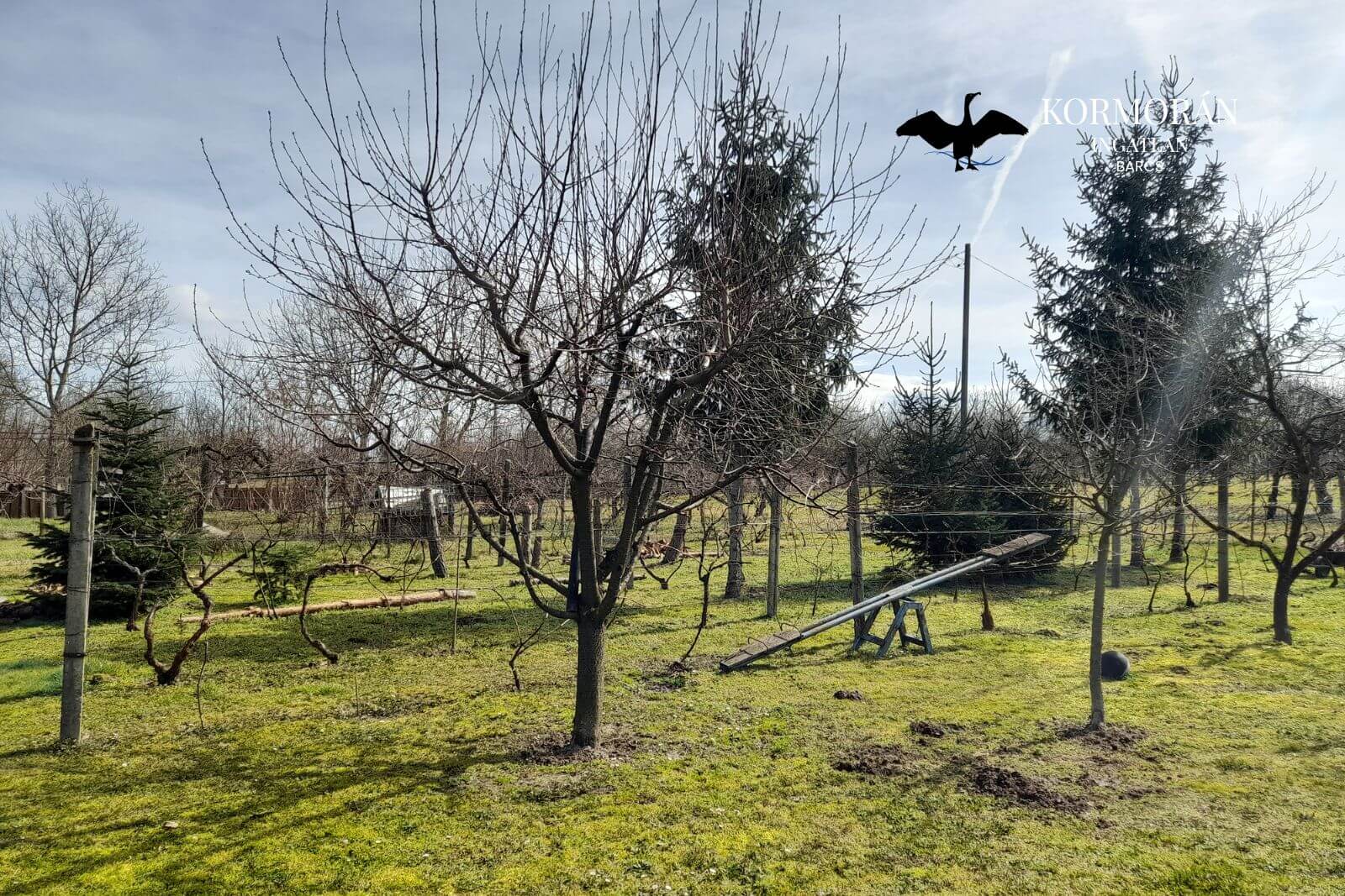 Barcs, Némethegy